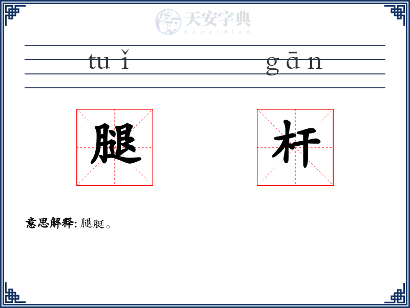 腿杆