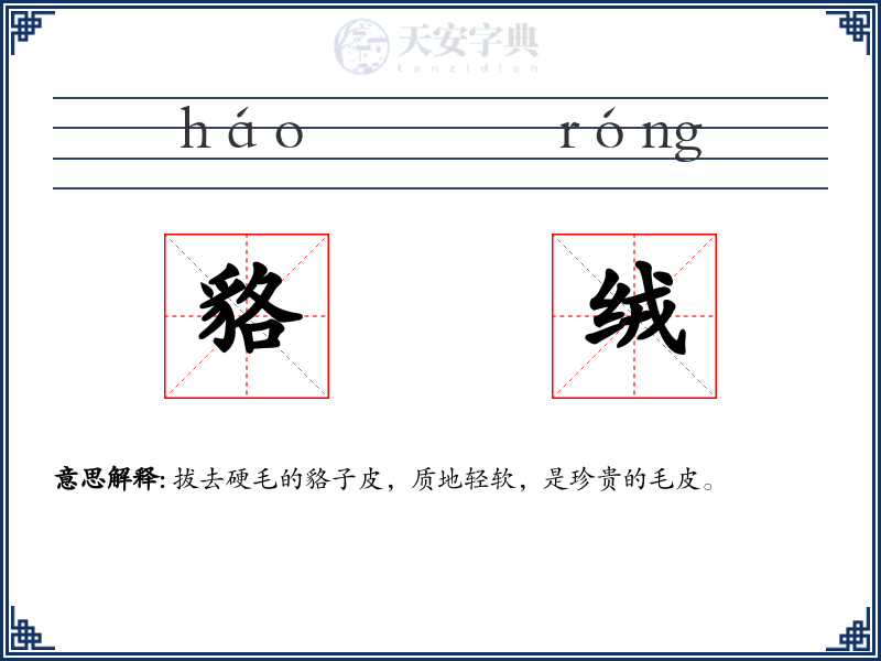貉绒