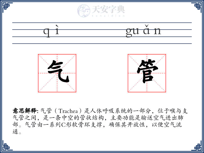 气管