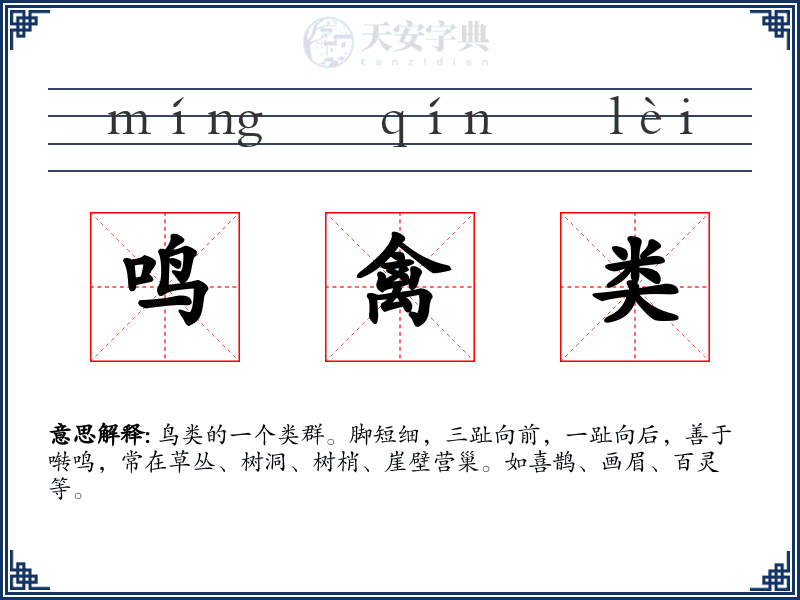 鸣禽类