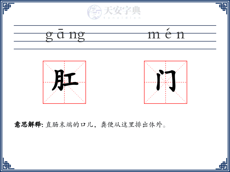肛门