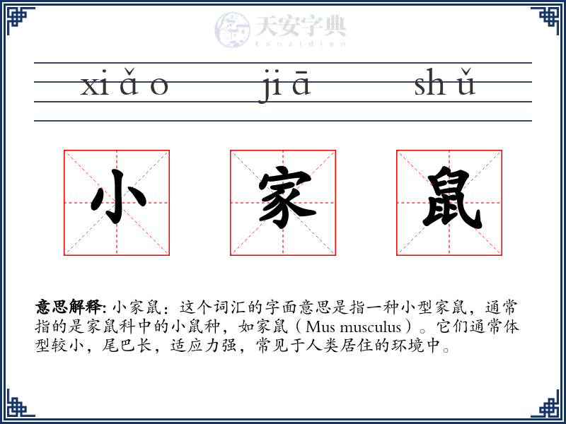 小家鼠