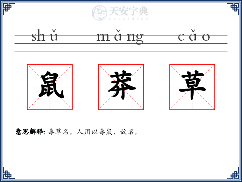 鼠莽草