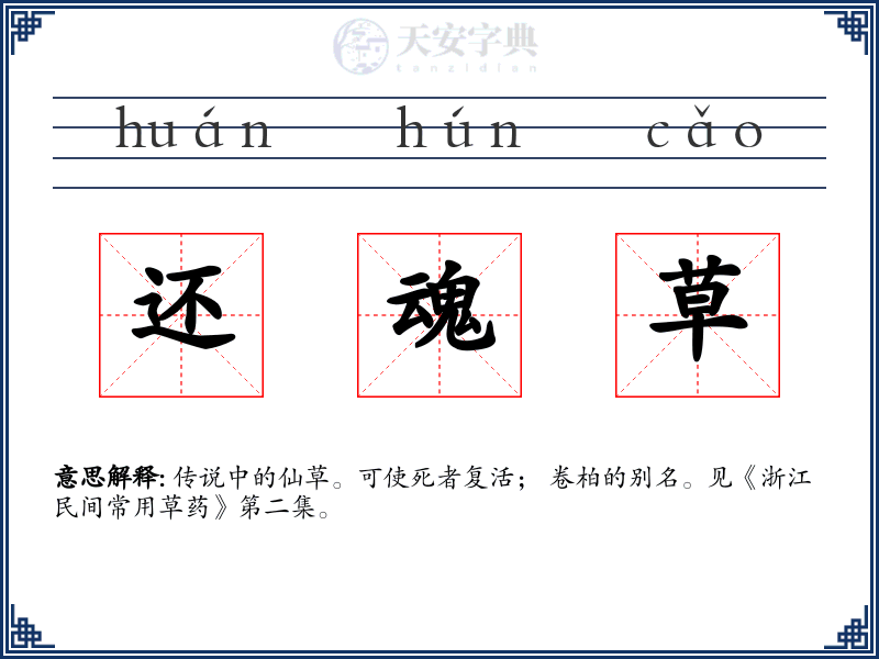 还魂草