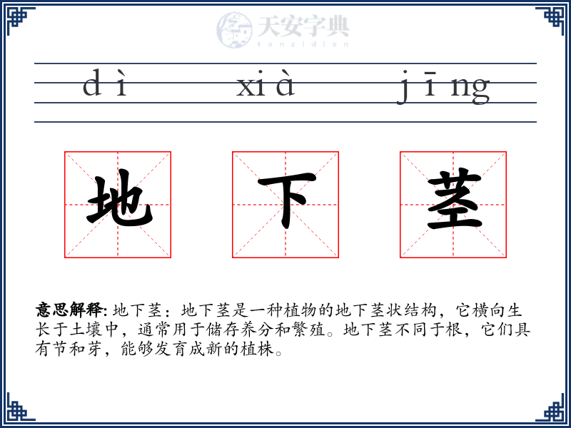 地下茎
