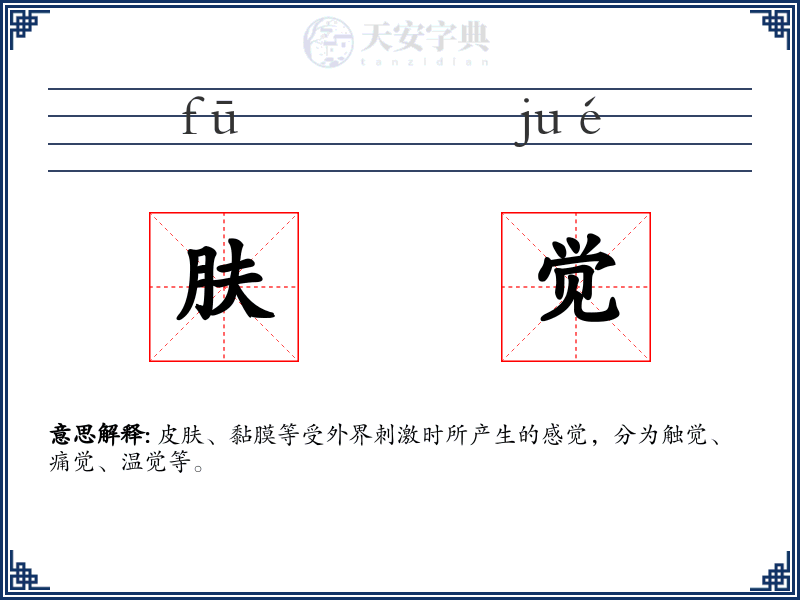 肤觉