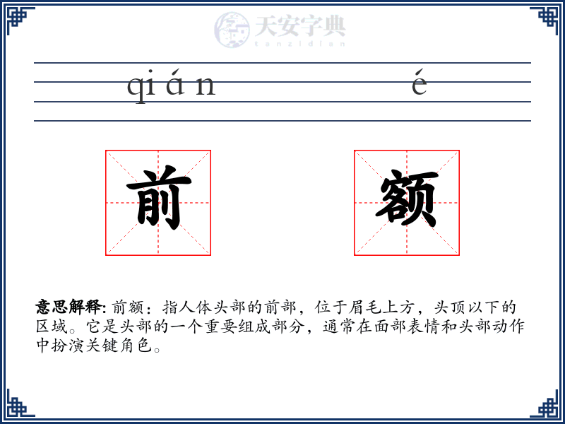 前额