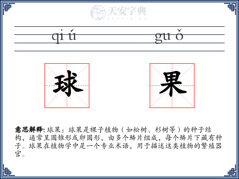 球果