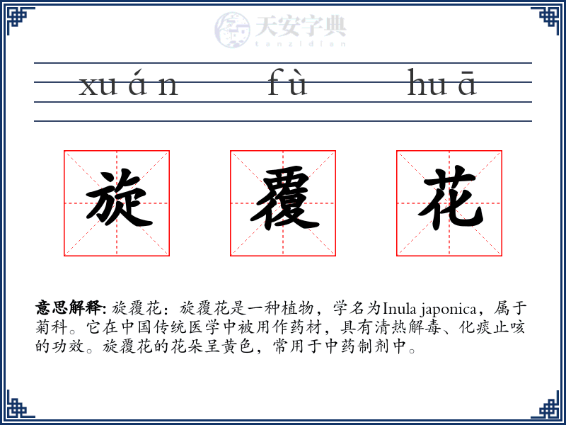 旋覆花