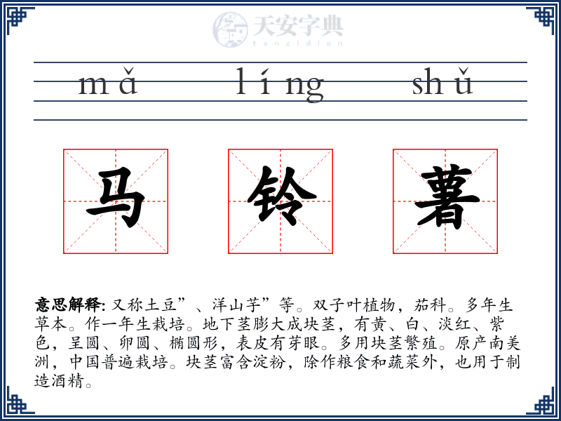 马铃薯