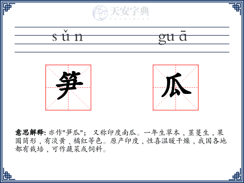 笋瓜
