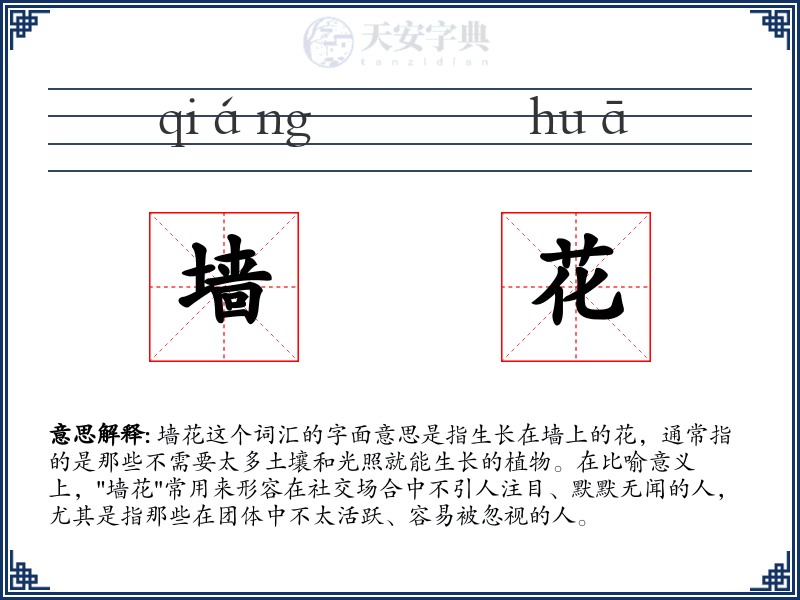 墙花