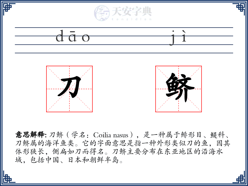 刀鲚