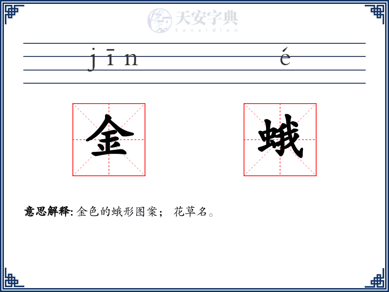 金蛾