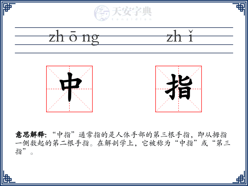 中指