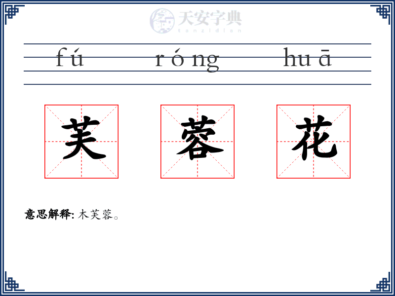 芙蓉花