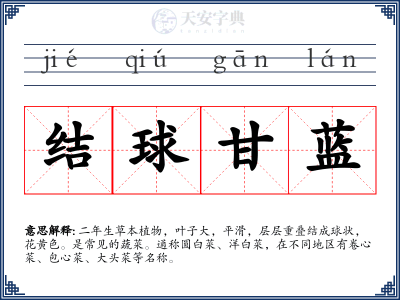 结球甘蓝