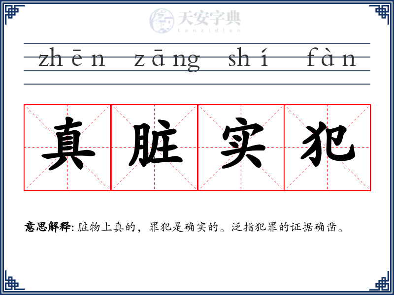 真脏实犯