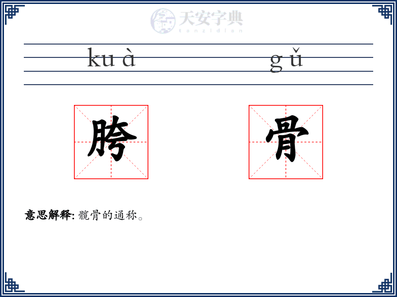 胯骨