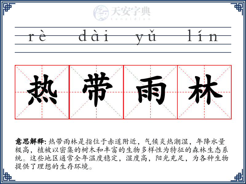 热带雨林