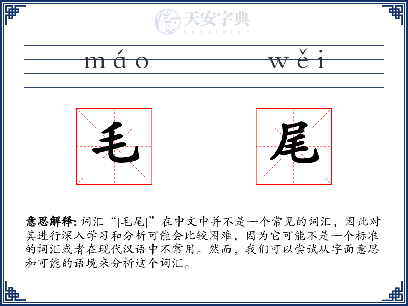 毛尾