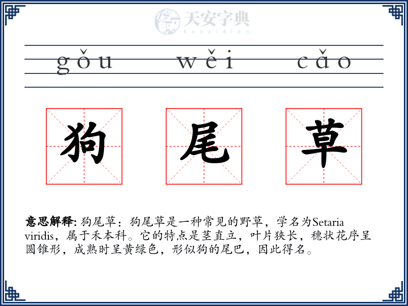 狗尾草