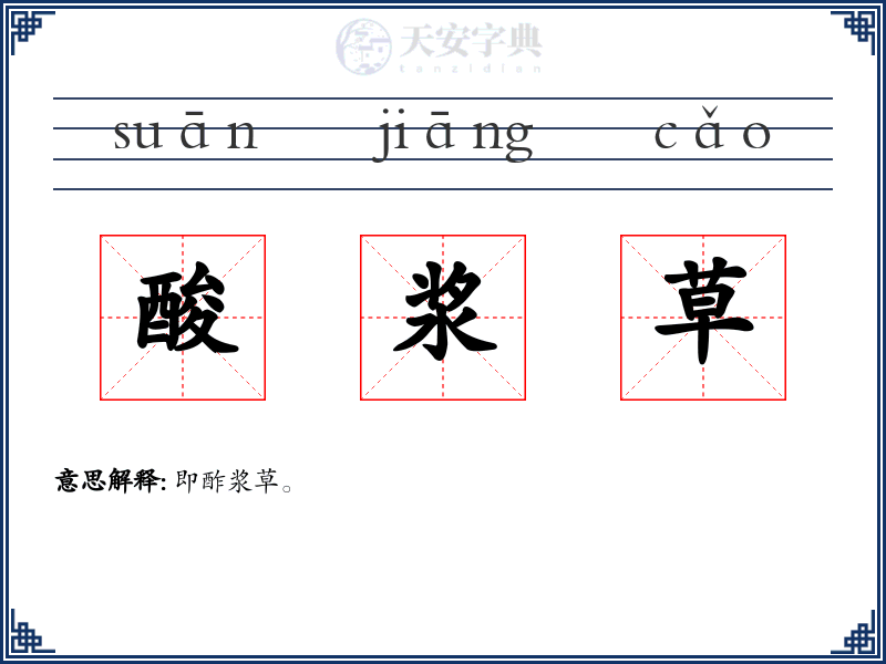 酸浆草