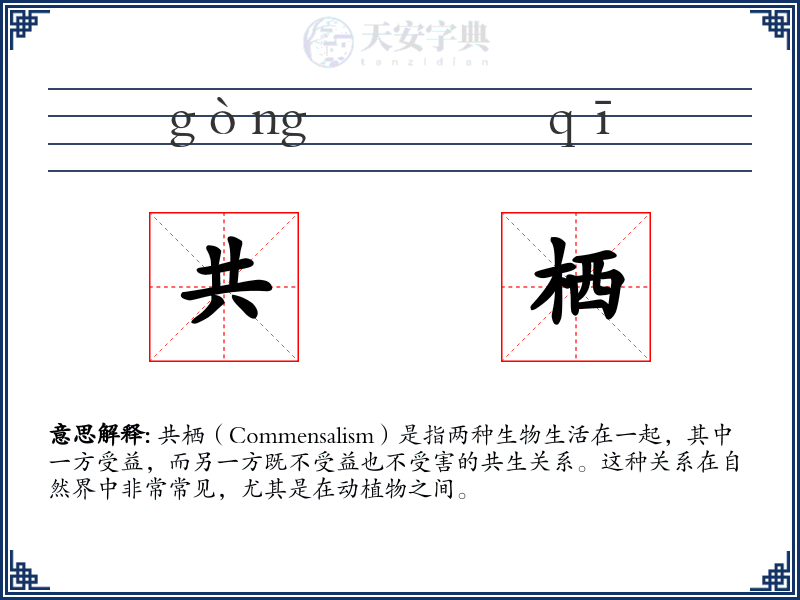 共栖