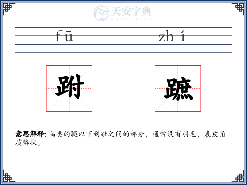 跗蹠