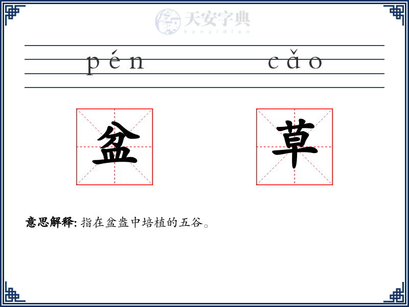 盆草