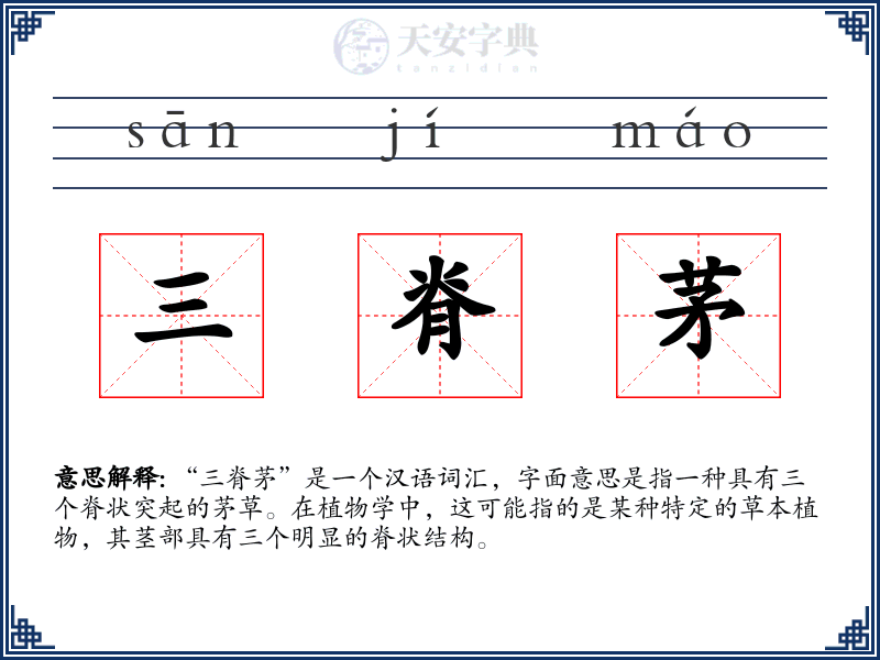 三脊茅