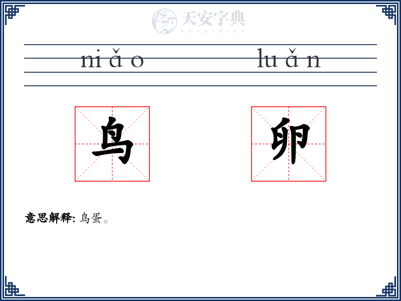 鸟卵