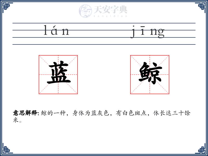 蓝鲸