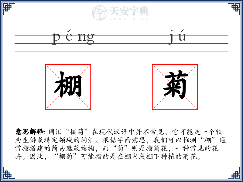 棚菊