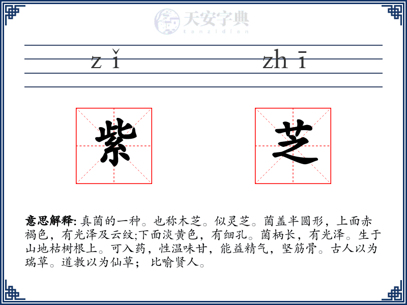 紫芝