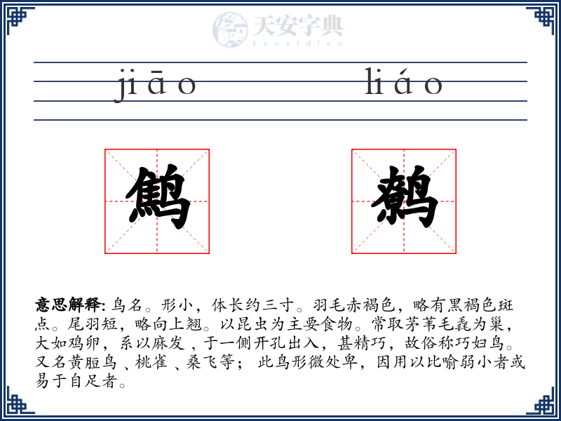 鹪鹩