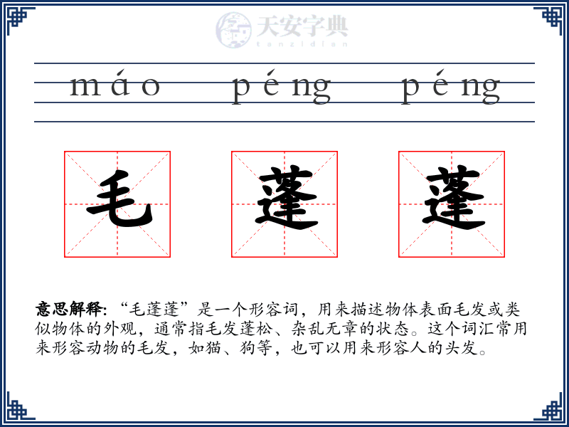 毛蓬蓬