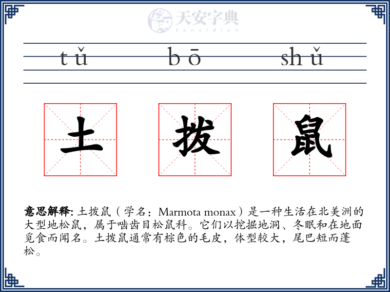 土拨鼠