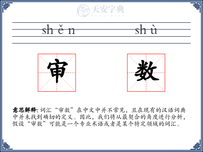 审数