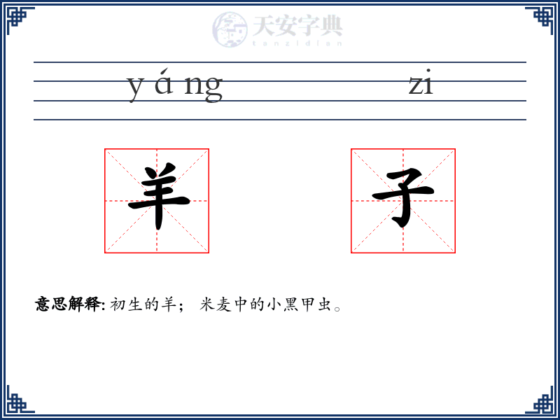 羊子