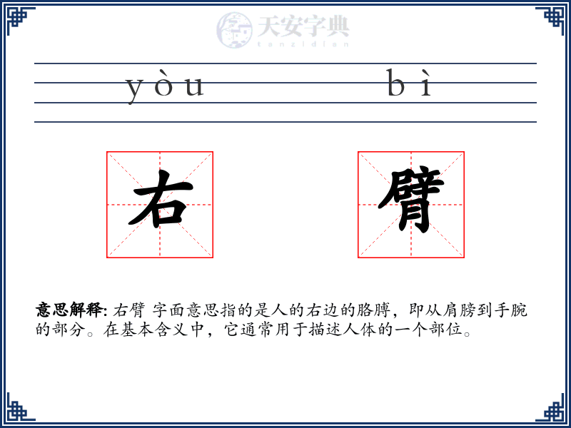 右臂