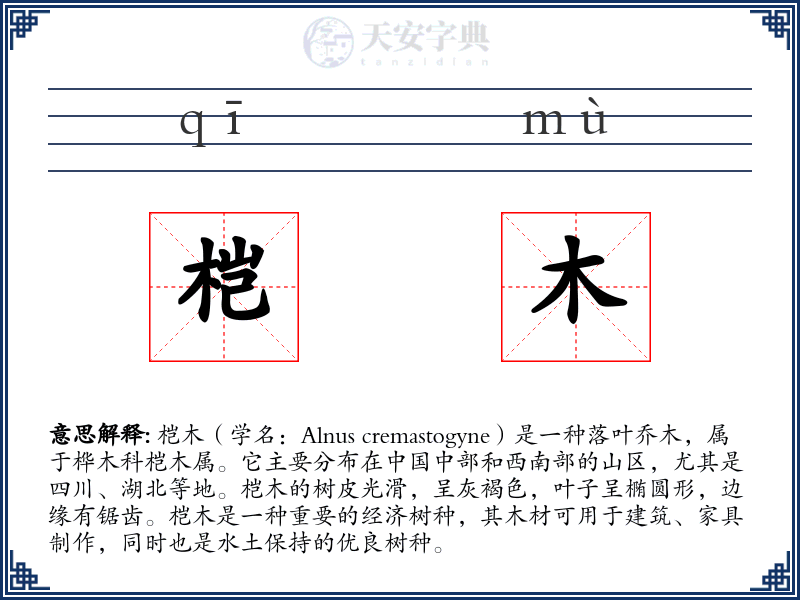 桤木