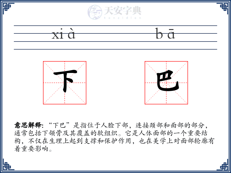 下巴