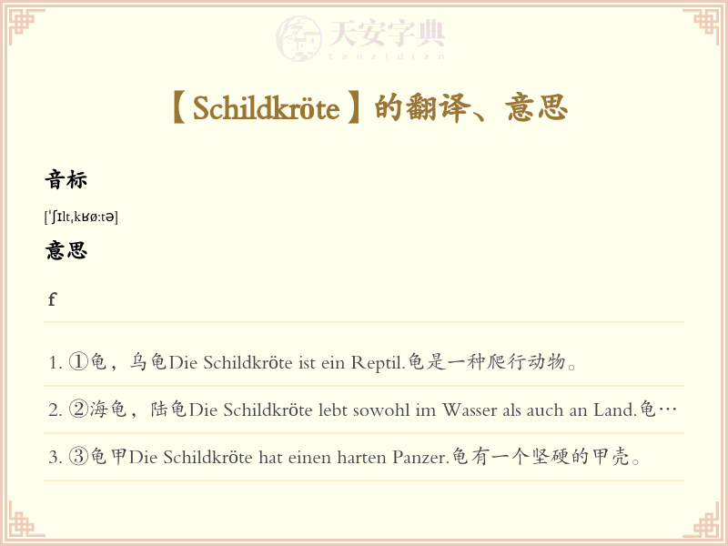 Schildkröte