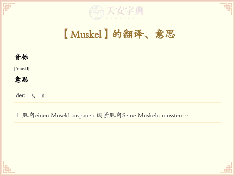 Muskel