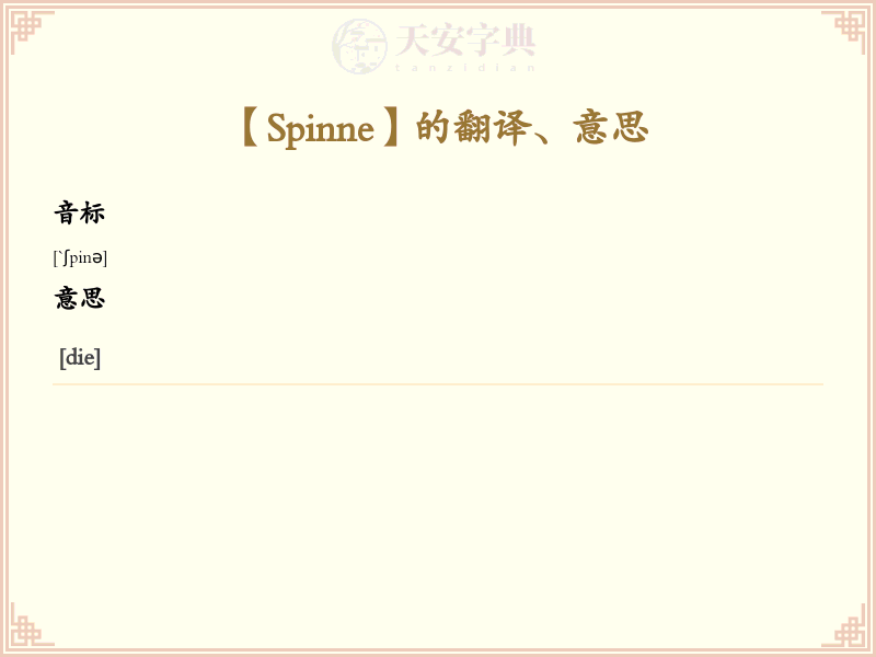 Spinne