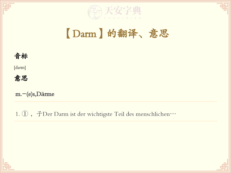 Darm
