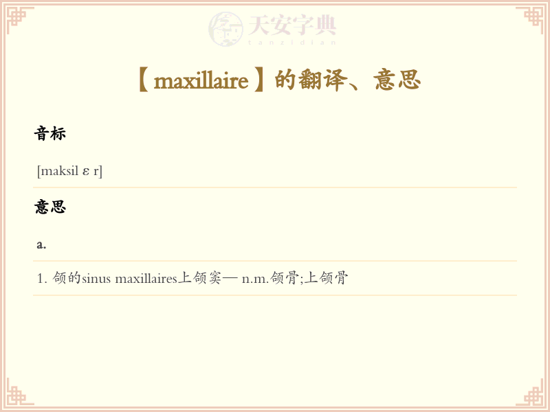 maxillaire