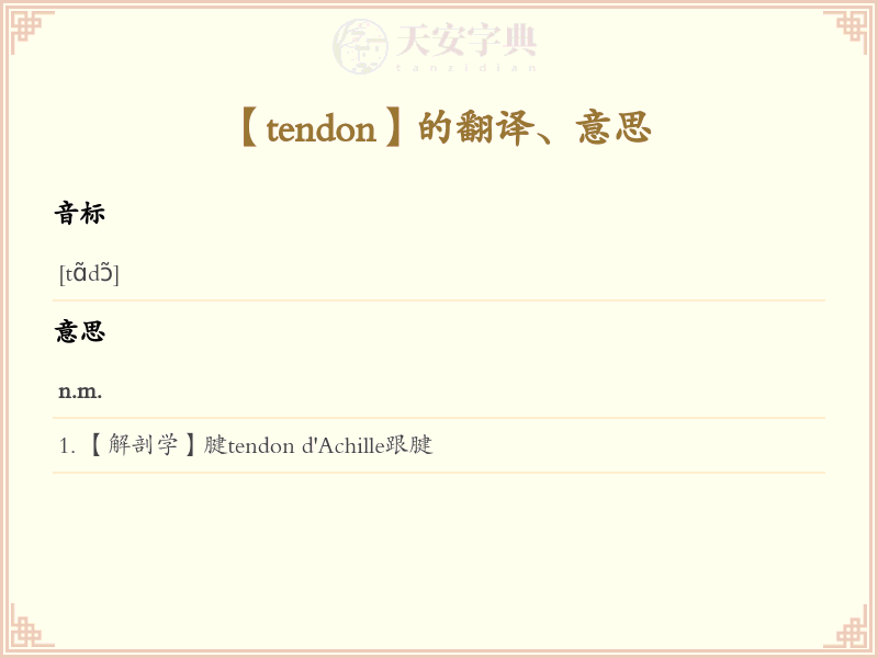 tendon