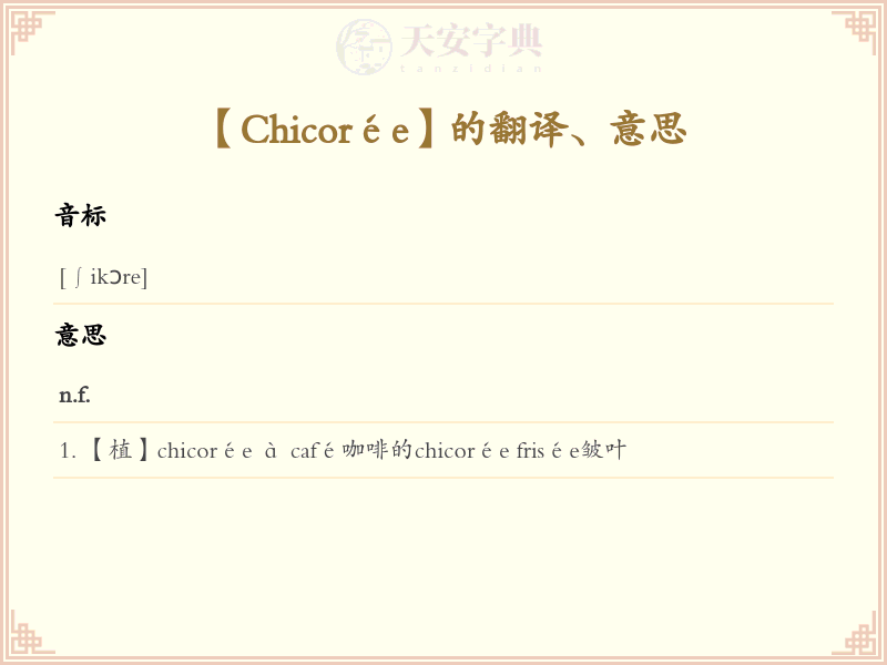 Chicorée